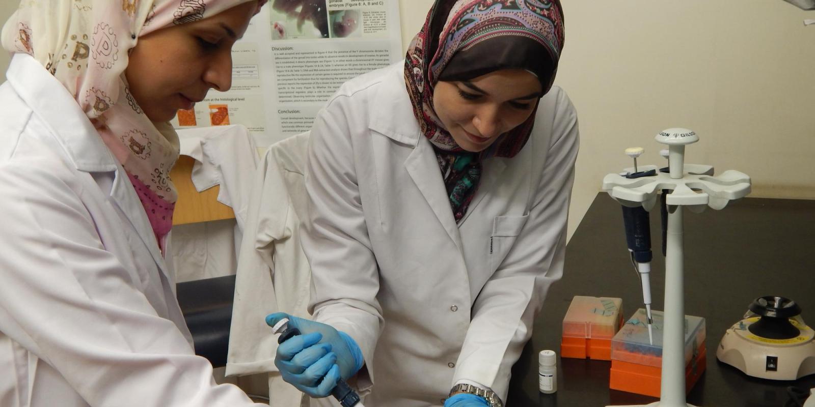 Students Laila Ziko and Nancy El-Baz work together on innovative research aimed at improving breast cancer treatments