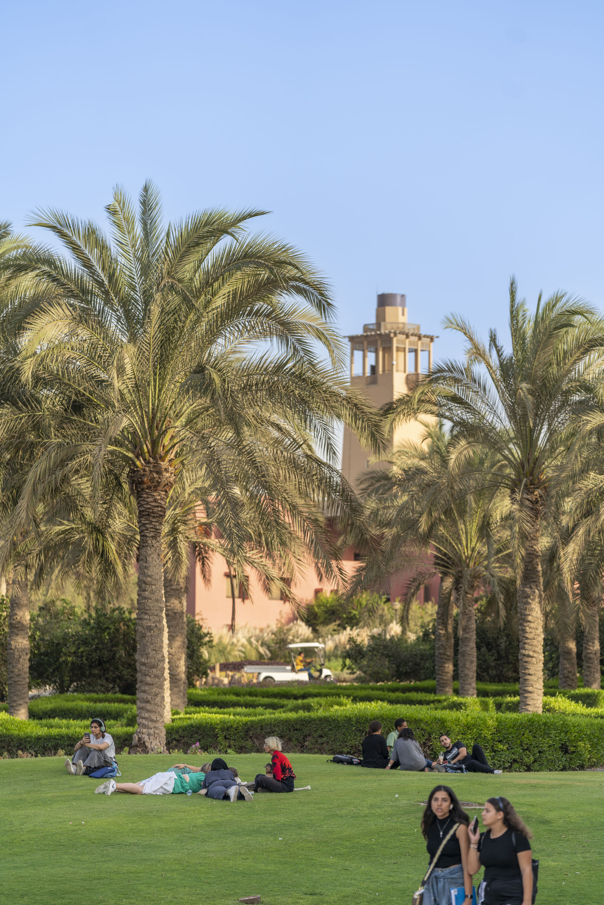 vertical view of a garden with students sitting and walking with palm trees in the background