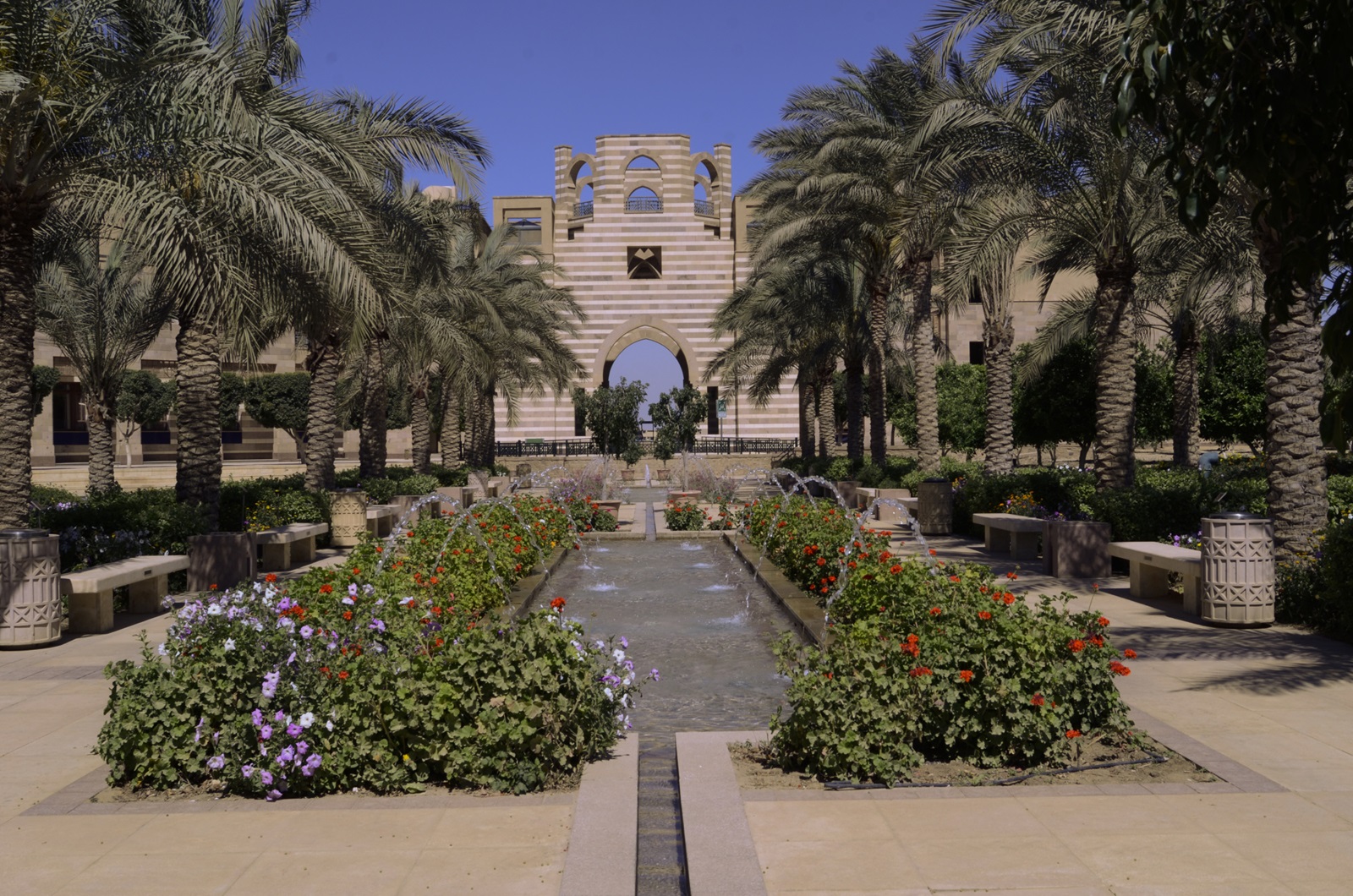 AUC portal 