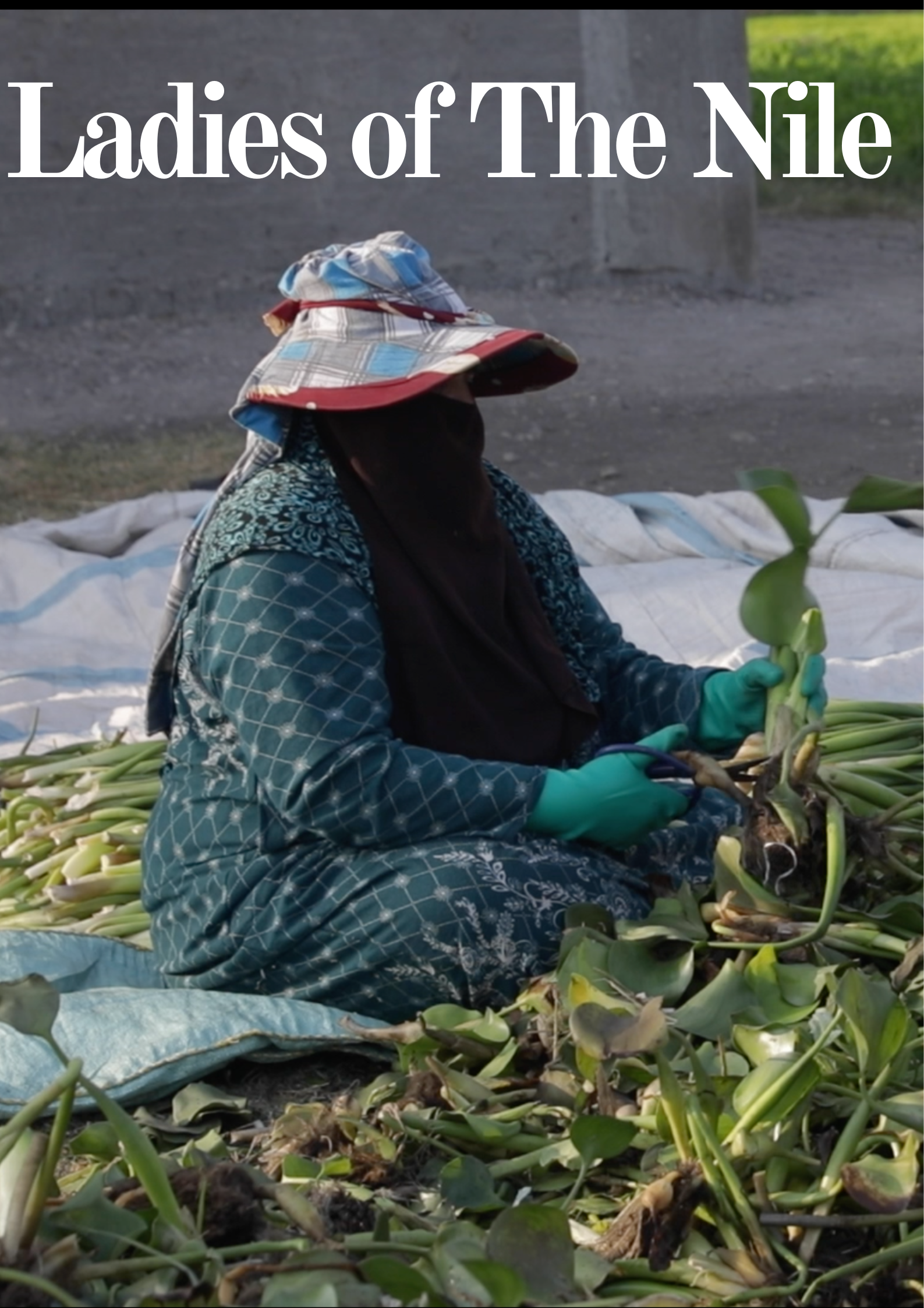 Title screen of documentary ""Ladies of the Nile” featuring a woman sitting on the ground cutting leaves