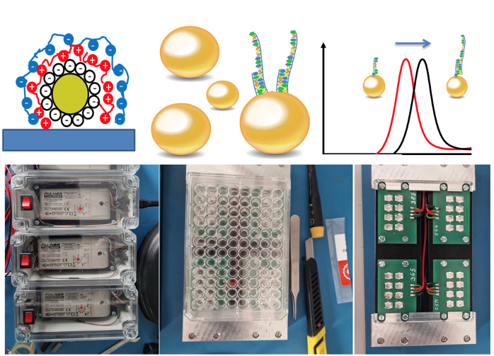 Modification of plasmonic gold nanoparticles for sensing biological targets (upper panel). Home-made setup, designed in collaboration with German scientists, for identification of bioactive phytochemicals for cancer therapy (lower panel). 