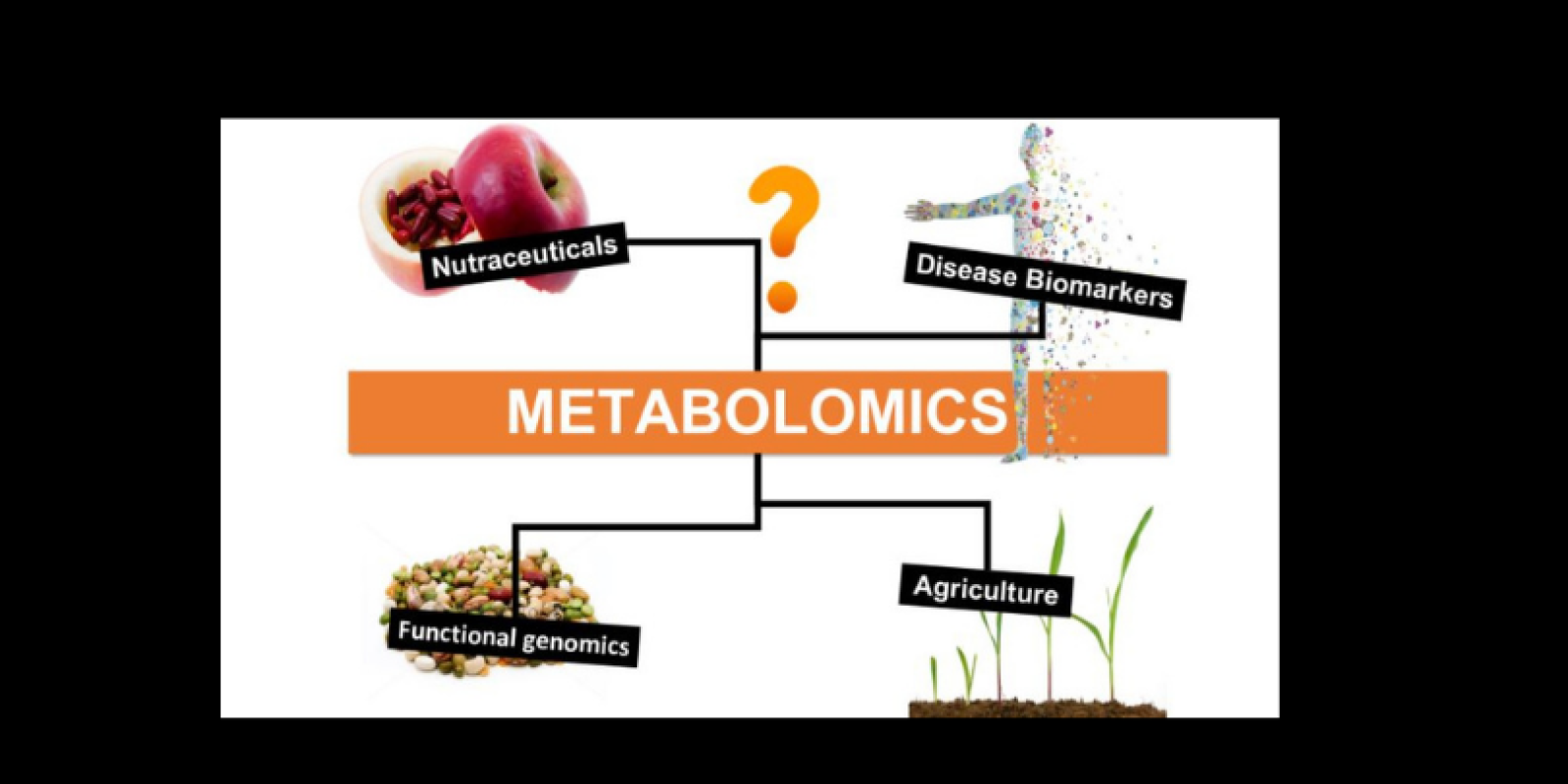 Metabolomics