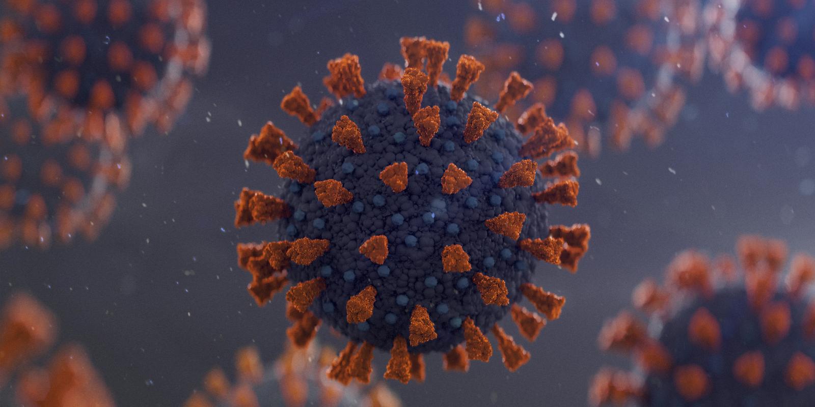 Coronavirus