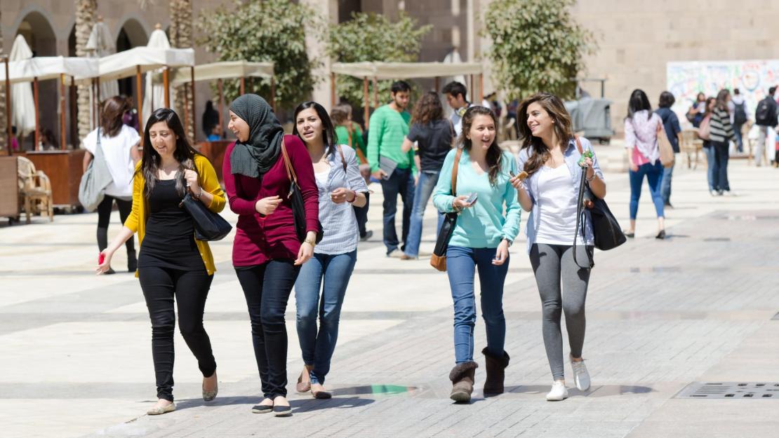 student enrollment The American University in Cairo