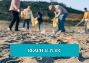 People on the beach picking up litter on the sand