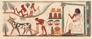 pharaonic inscriptions