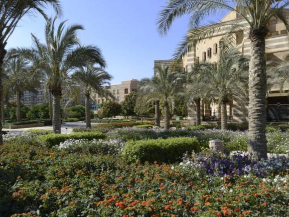 AUC Garden